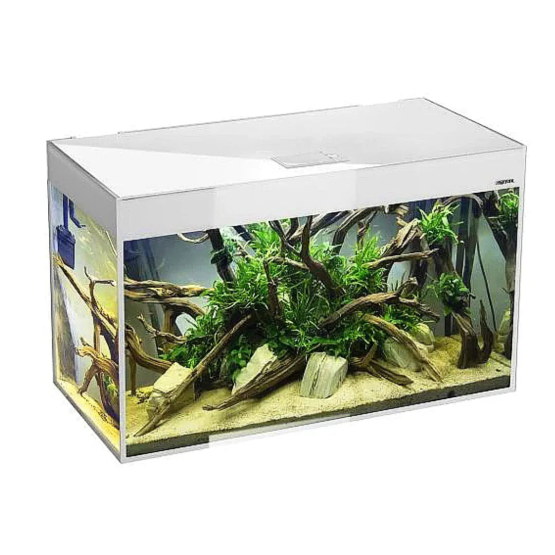 AQUAEL GLOSSY ST Set 80 D&N: Moderne Eleganz für Ihr Unterwasserparadies 🐠 - AS+ AquaTimo