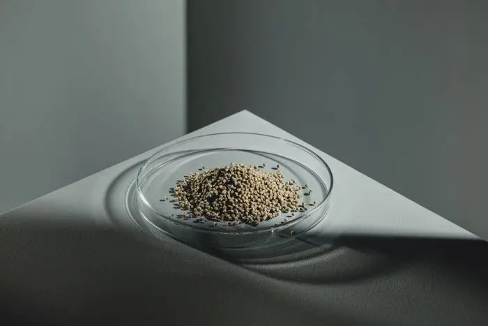 StreamBiz Buntbarsch Spirulina Softgranulat 🐟🌿 - AS+ AquaTimo
