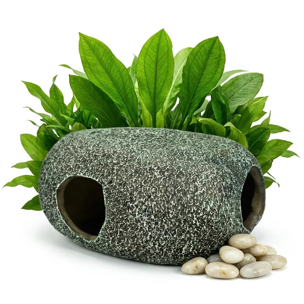 Marble Cave – Elegante Optik & Sicherer Unterschlupf - AS+ AquaTimo
