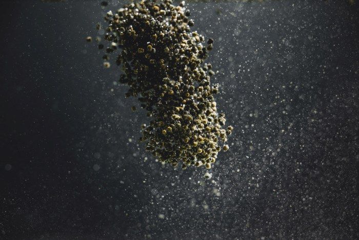 StreamBiz Buntbarsch Spirulina Softgranulat 🐟🌿 - AS+