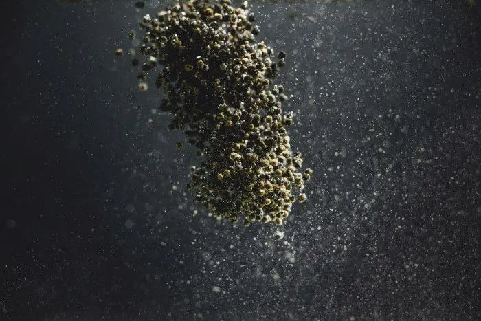 StreamBiz Buntbarsch Spirulina Softgranulat 🐟🌿 - AS+ AquaTimo