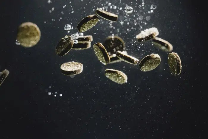 StreamBiz Wels Nuggets Soft Herbivor 🐟🌿 - AS+ AquaTimo