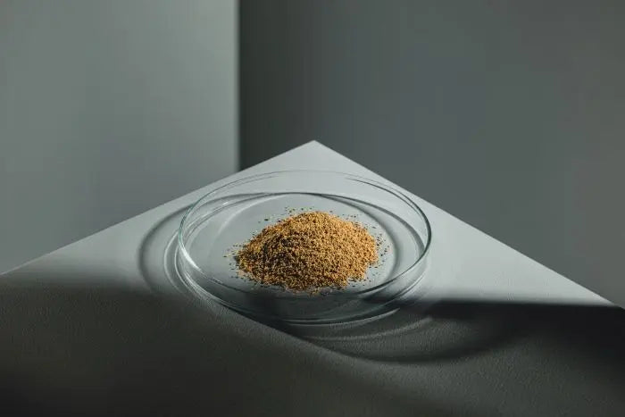 StreamBiz Salmler Natur Granulat 🐟🌿 - AS+ AquaTimo