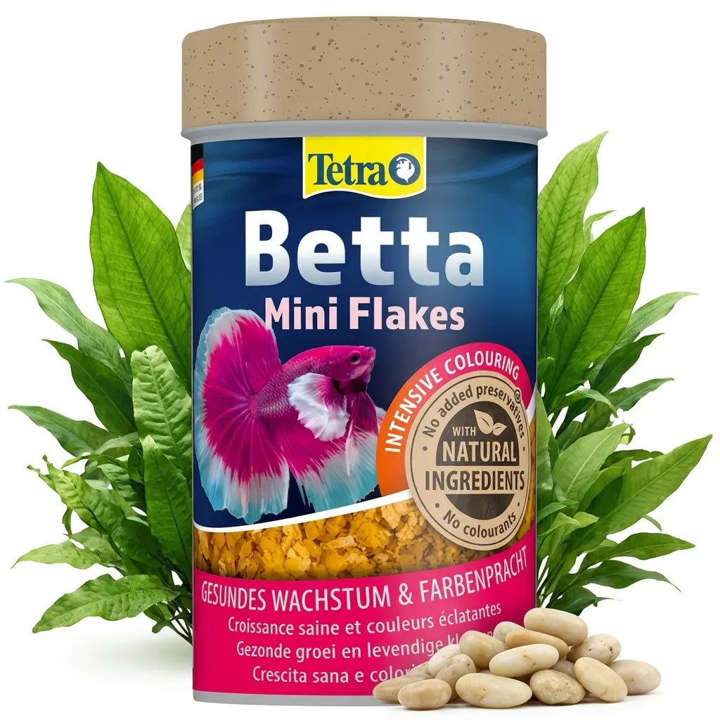 Tetra Betta – Spezialfutter für prachtvolle Kampffische - AS+ AquaTimo