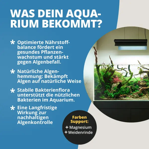 NatureHolic Blue Algae Stop: Schluss mit Blaualgen in deinem Aquarium AquaTimo