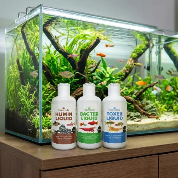 NatureHolic - 3 Phasen Liquid - Pflegeset 3 x 125ml AquaTimo