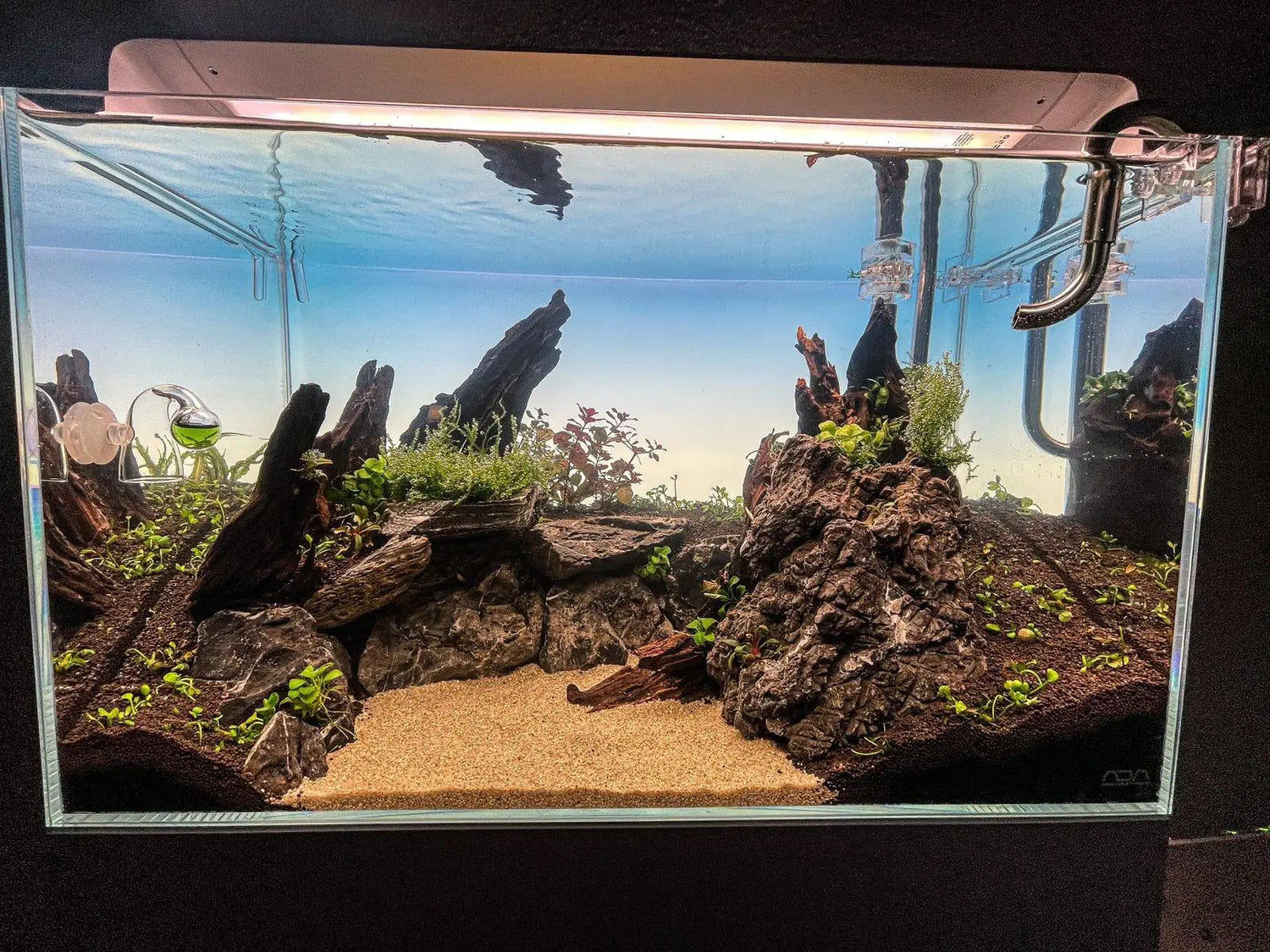 Aquarium Einrichtung: So gestaltest du dein Süßwasseraquarium AquaTimo