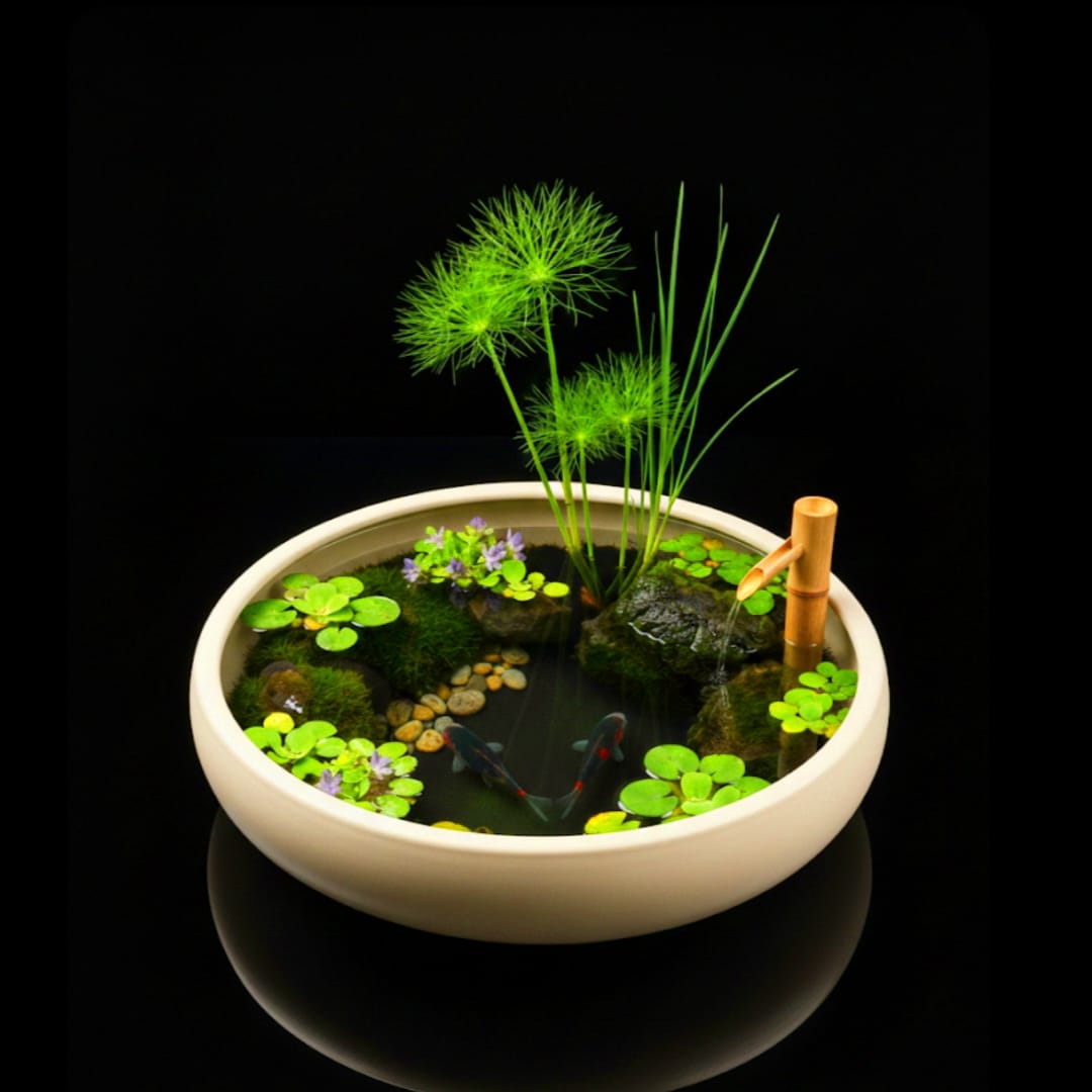 Teich- Mini Teich Bewohner