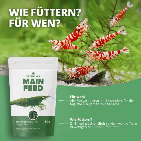 NatureHolic Mainfeed Softpads: Das Premium-Hauptfutter für vitale Zwerggarnelen 🦐 AquaTimo