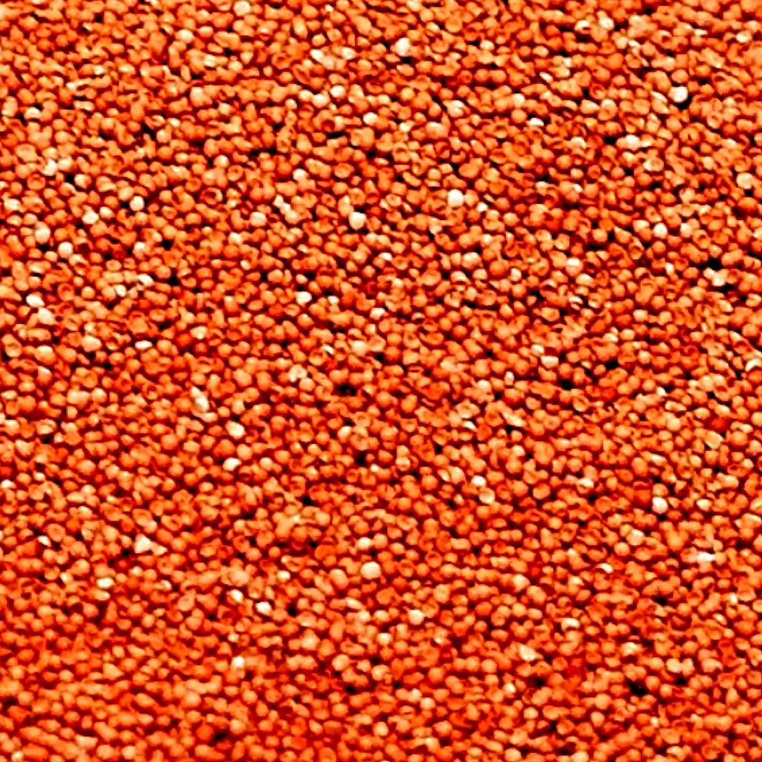 Algova Entkapselte Artemia Eier: Natürliches Power-Futter für Deine Aquarienbewohner 🐠🦐 algova