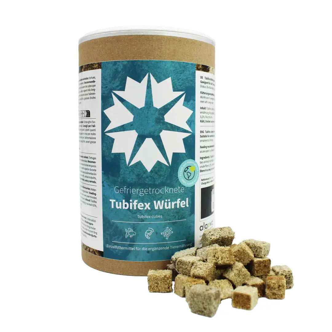 Algova Tubifex Würfel: Das proteinreiche Power-Futter für Deine Zierfische! 💪🐠 algova