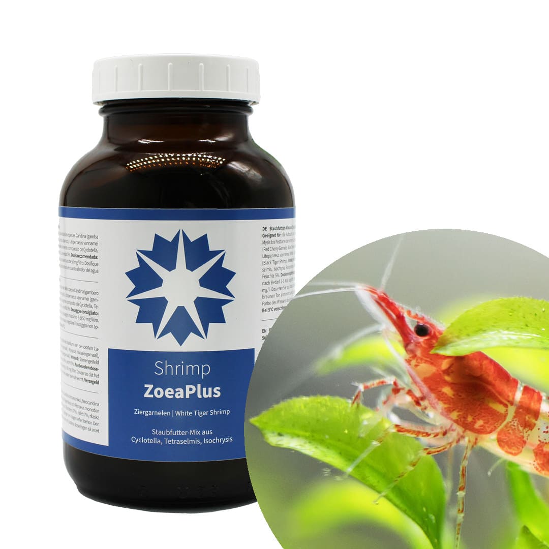 Algova Shrimp ZoeaPlus: Das Staubfutter für eine perfekte Baby Garnelen Zucht im Aquarium! 🦐👶