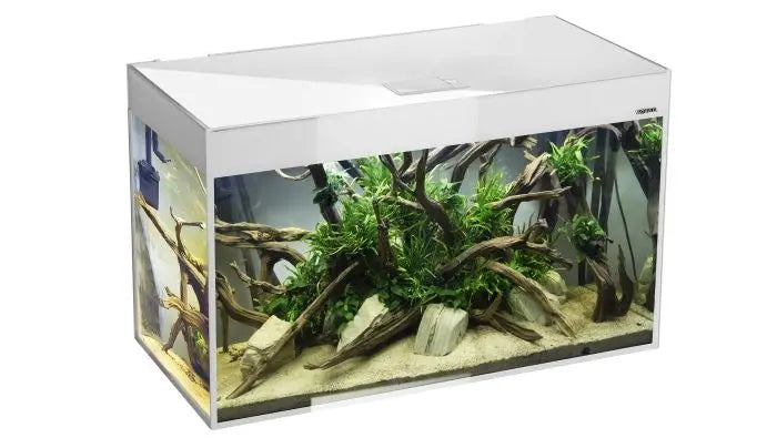 AQUAEL GLOSSY ST Set 80 D&N: Moderne Eleganz für Ihr Unterwasserparadies 🐠 - AS+ AquaTimo