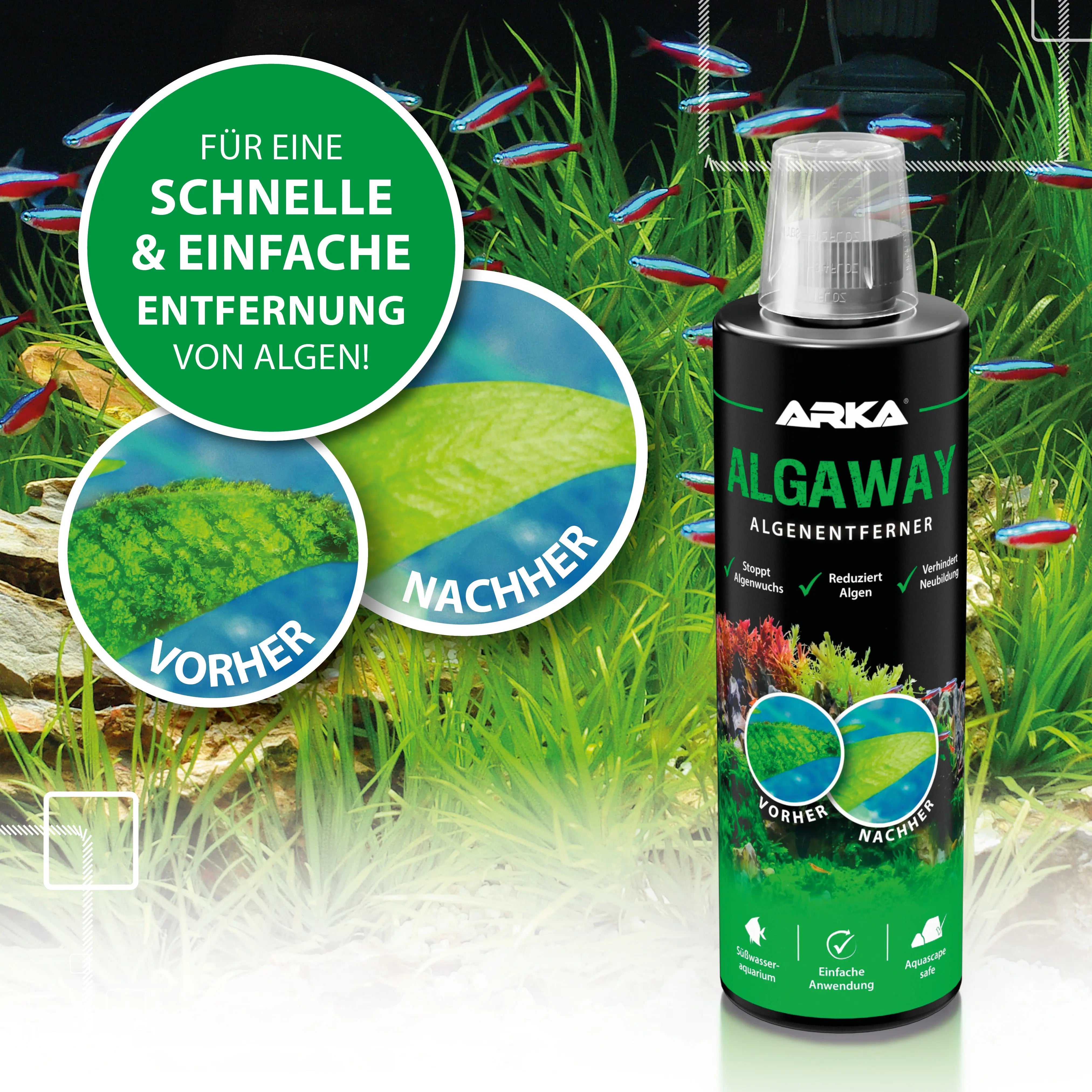 AKAR Algaway – Der effektive Algenentferner für Ihr Süßwasser-Aquarium🌿✨  - AS+ AquaTimo