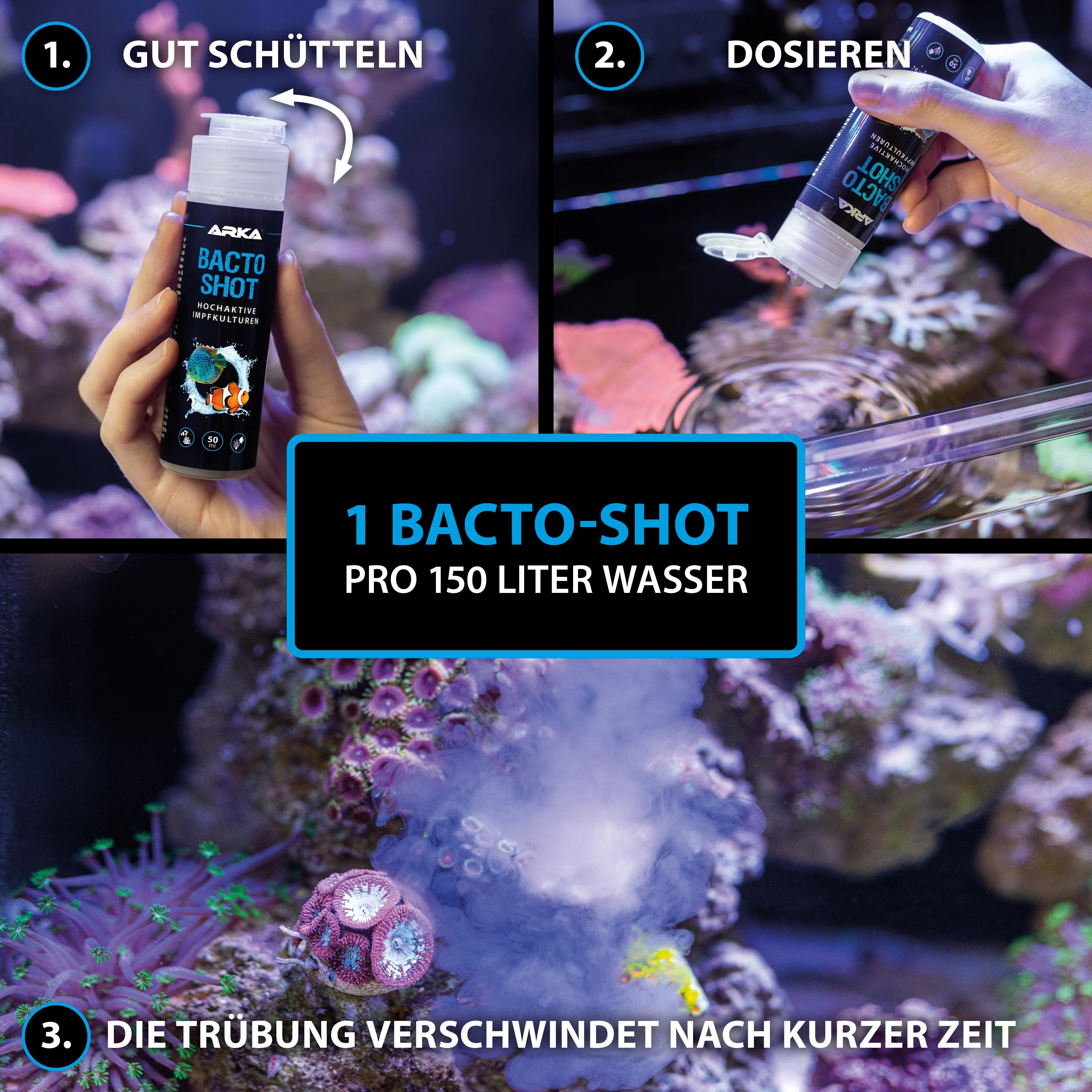 ARKA Bacto-Shot: Der Turbo für kristallklares Süßwasser 💧 – Hochaktive Starterbakterien für Ihr Aquarium - AS+ AquaTimo