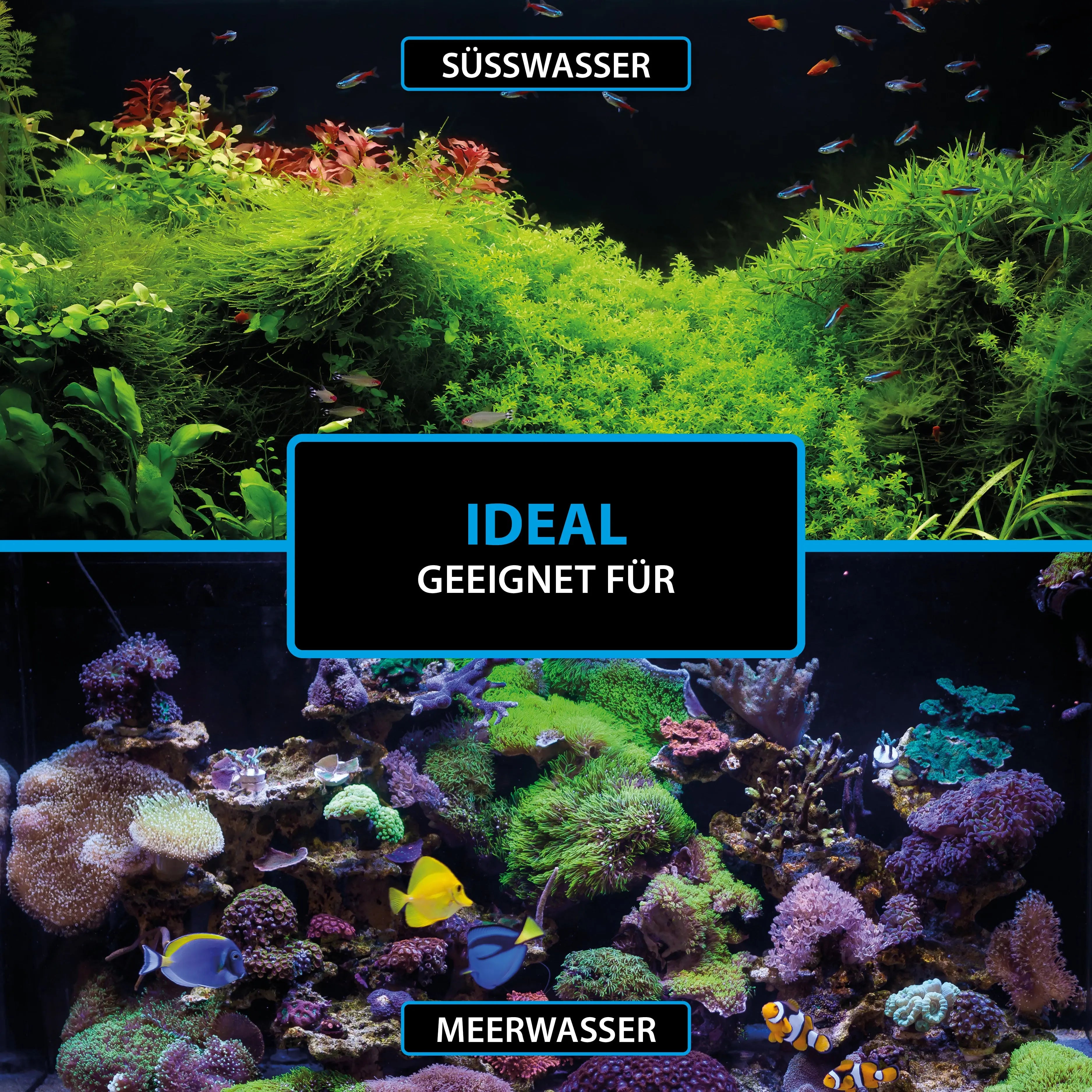 ARKA Bacto-Shot: Der Turbo für kristallklares Süßwasser 💧 – Hochaktive Starterbakterien für Ihr Aquarium - AS+ AquaTimo