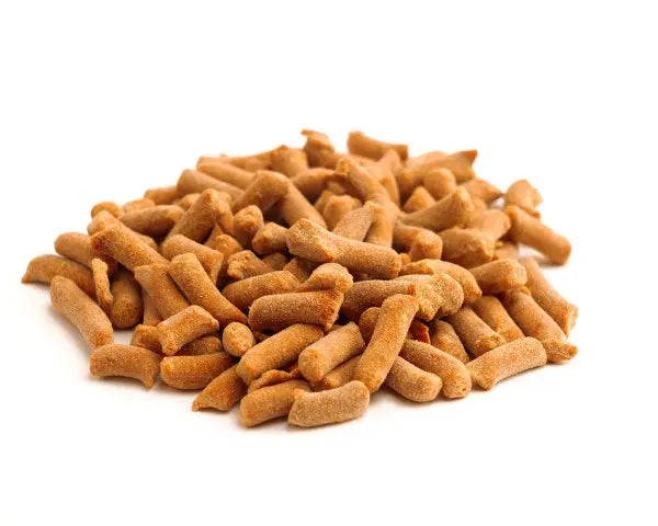 NatureHolic Pumpkin Bites plus Zimt: Das rein pflanzliche Premium-Futter für deine Aquarienlieblinge 🧡 AquaTimo