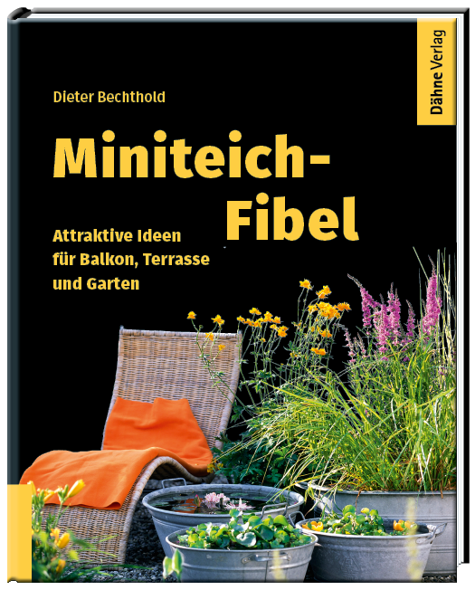 Miniteich anlegen