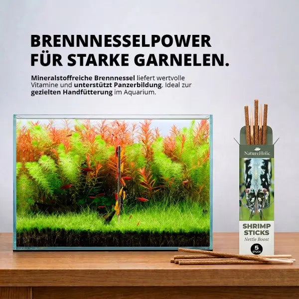 NatureHolic - Garnelen Lollies „Brennnessel Boost“ - 5 Lollis fürs Aquarium AquaTimo