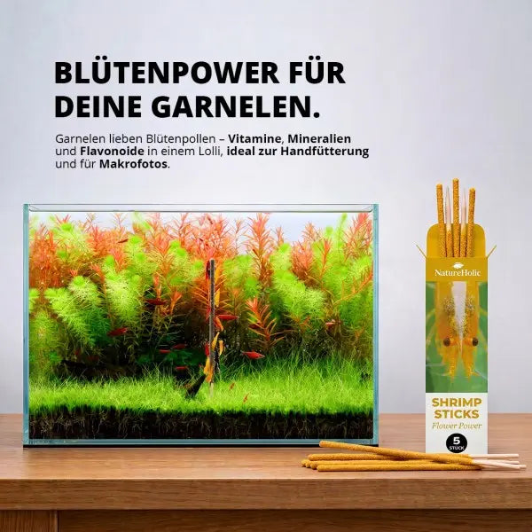 NatureHolic Shrimp Stick Flower Power: Der unwiderstehliche Garnelenlutscher AquaTimo