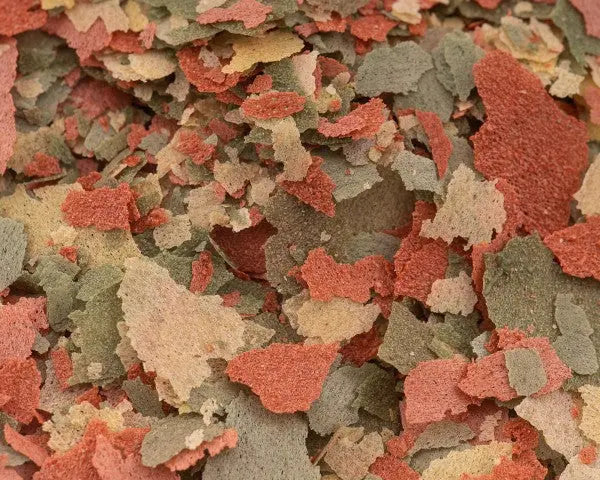 NatureHolic Pure Flakes Immun+: Das Extranutzen Flockenfutter für gesunde und vitale Zierfische 💖🐟 AquaTimo
