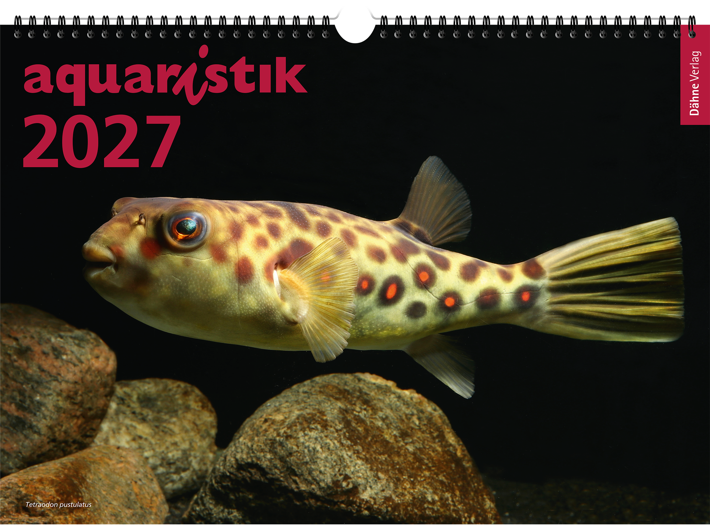 Aquaristik-Kalender 2027