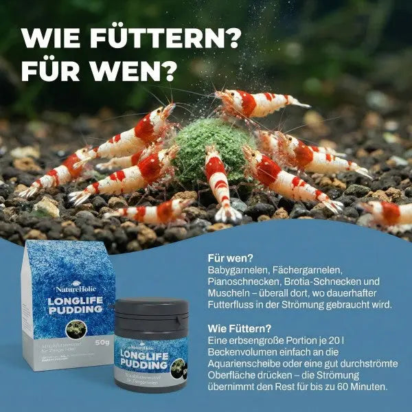 Longlife Pudding: Die stetige Futterquelle für dein Aquarium  🐌🍤 AquaTimo