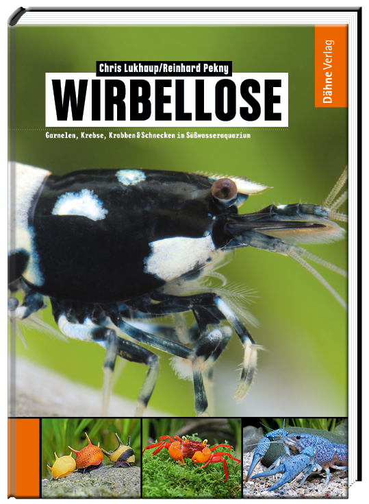 Wirbellose Süßwasser Buch