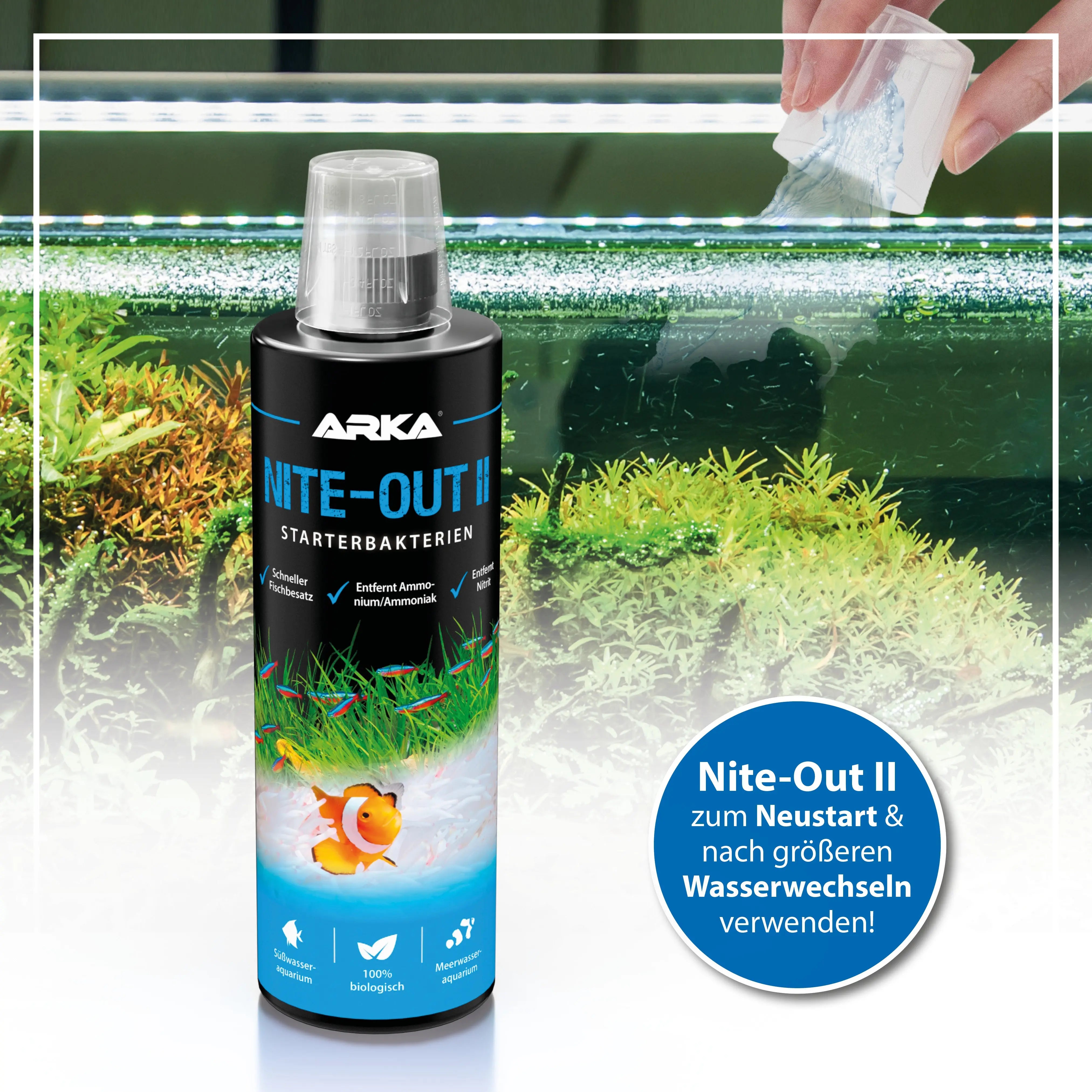 ARKA Nite-Out II: Die unverzichtbare Turbo-Starter-Formel für Ihr Süßwasseraquarium!🚀 - AS+ AquaTimo