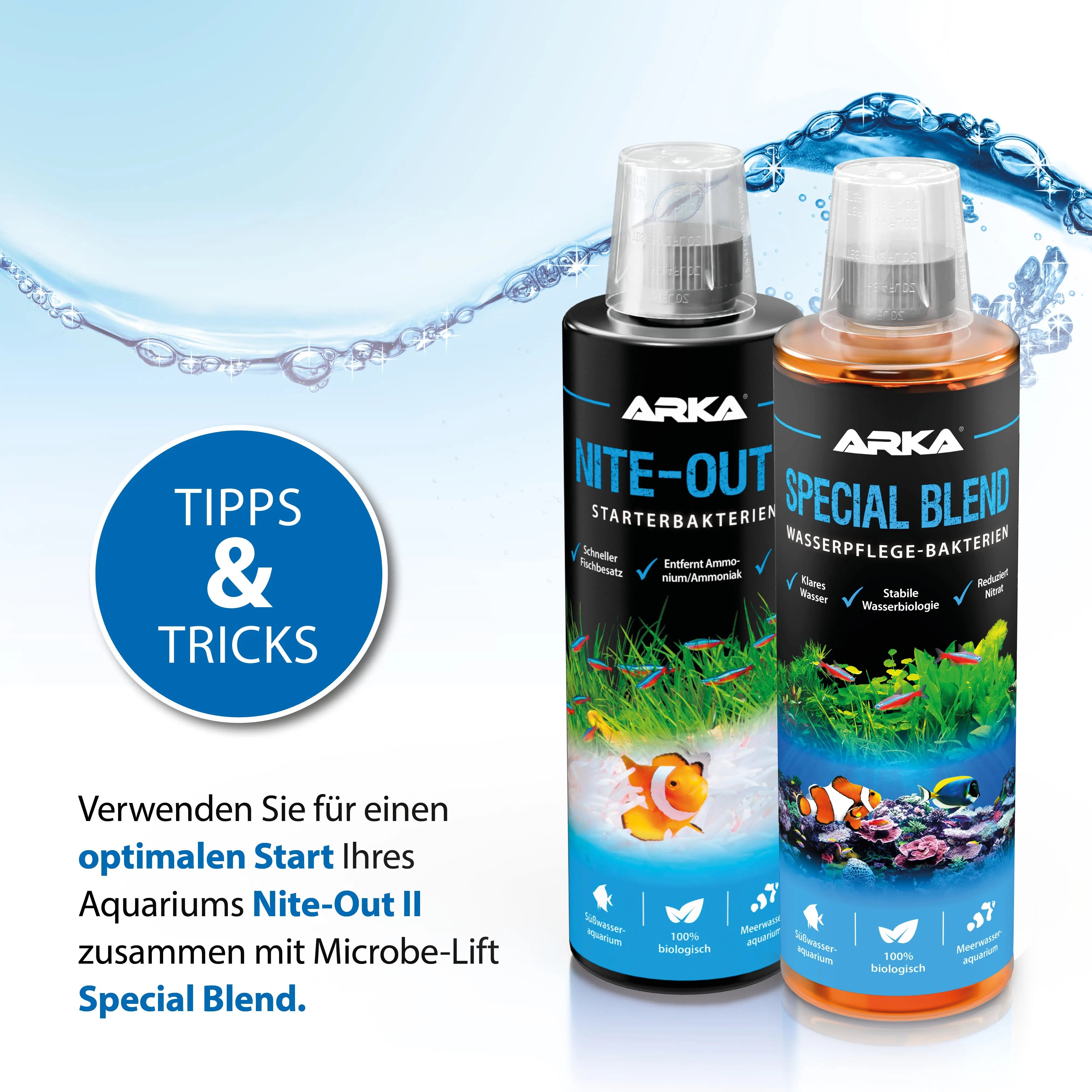 ARKA Nite-Out II: Die unverzichtbare Turbo-Starter-Formel für Ihr Süßwasseraquarium!🚀 - AS+ AquaTimo