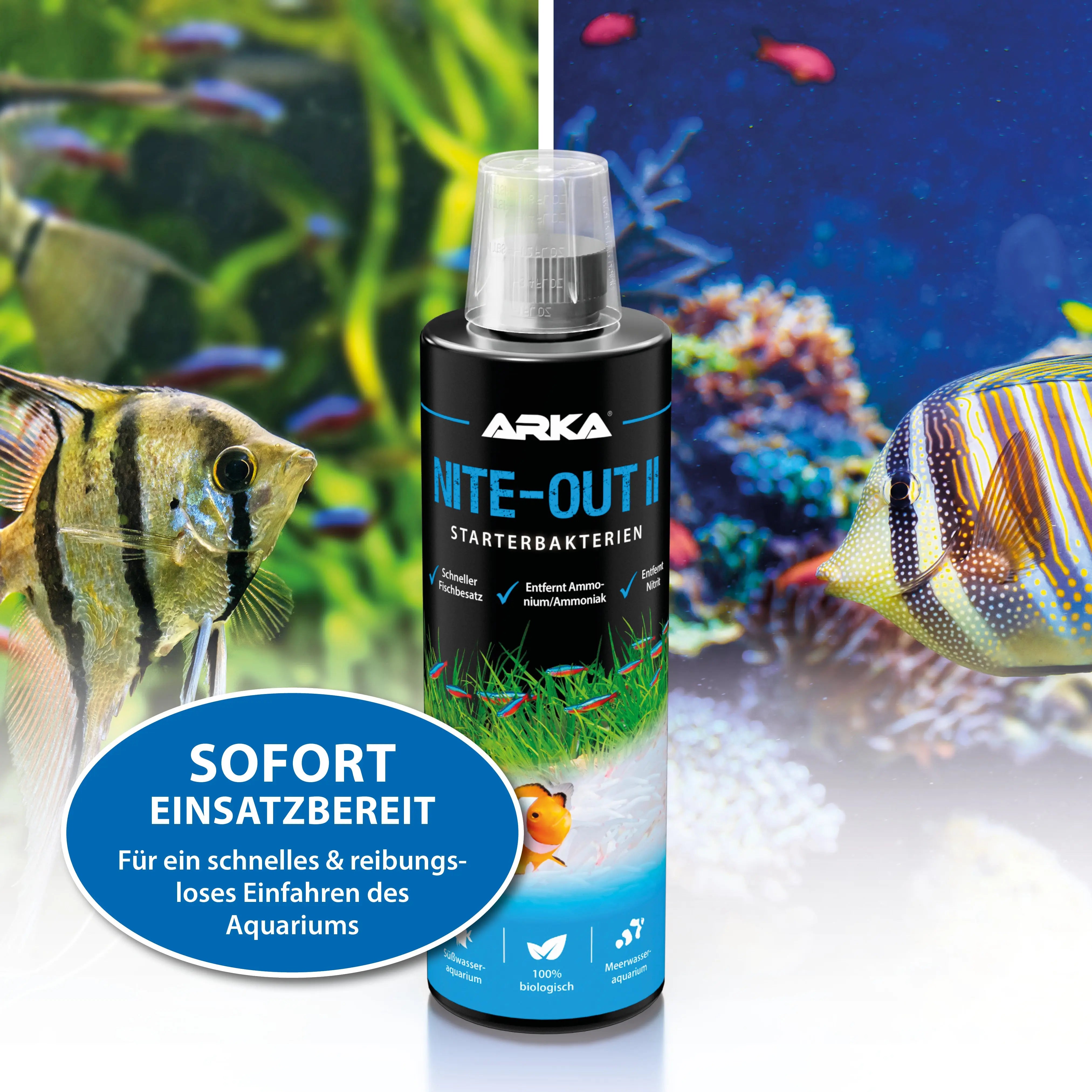 ARKA Nite-Out II: Die unverzichtbare Turbo-Starter-Formel für Ihr Süßwasseraquarium!🚀 - AS+ AquaTimo