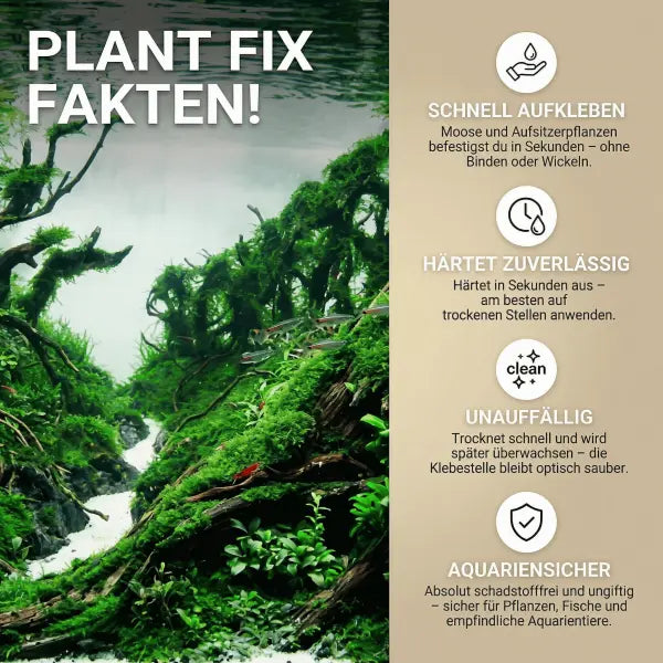 NatureHolic Pflanzenkleber: Die unsichtbare Lösung für dein Aquascaping – Moose und Aufsitzerpflanzen einfach kleben! 💧🌿 AquaTimo