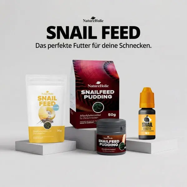 NatureHolic Snailfeed Pudding: Die leckere Futterpaste für gesunde Gehäuse & vitale Aufwuchs fressende Schnecken! 🐌💚 AquaTimo