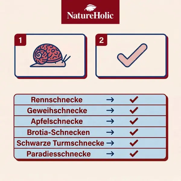 NatureHolic Snailfeed Pudding: Die leckere Futterpaste für gesunde Gehäuse & vitale Aufwuchs fressende Schnecken! 🐌💚 AquaTimo