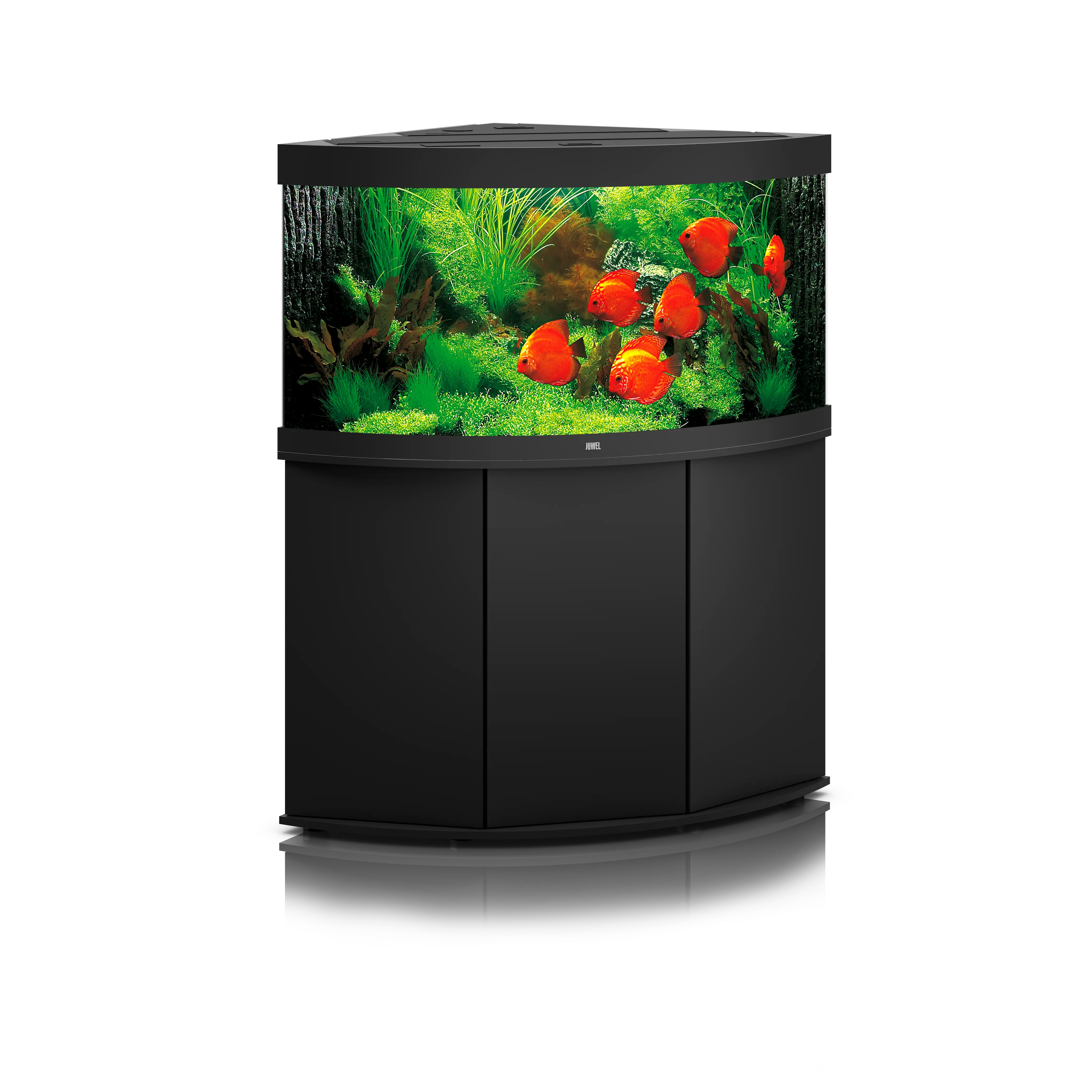 Juwel Trigon 350 LED Aquarium – Das Premium Eckaquarium für maximale Tiefenwirkung 💎 - AS+ AquaTimo