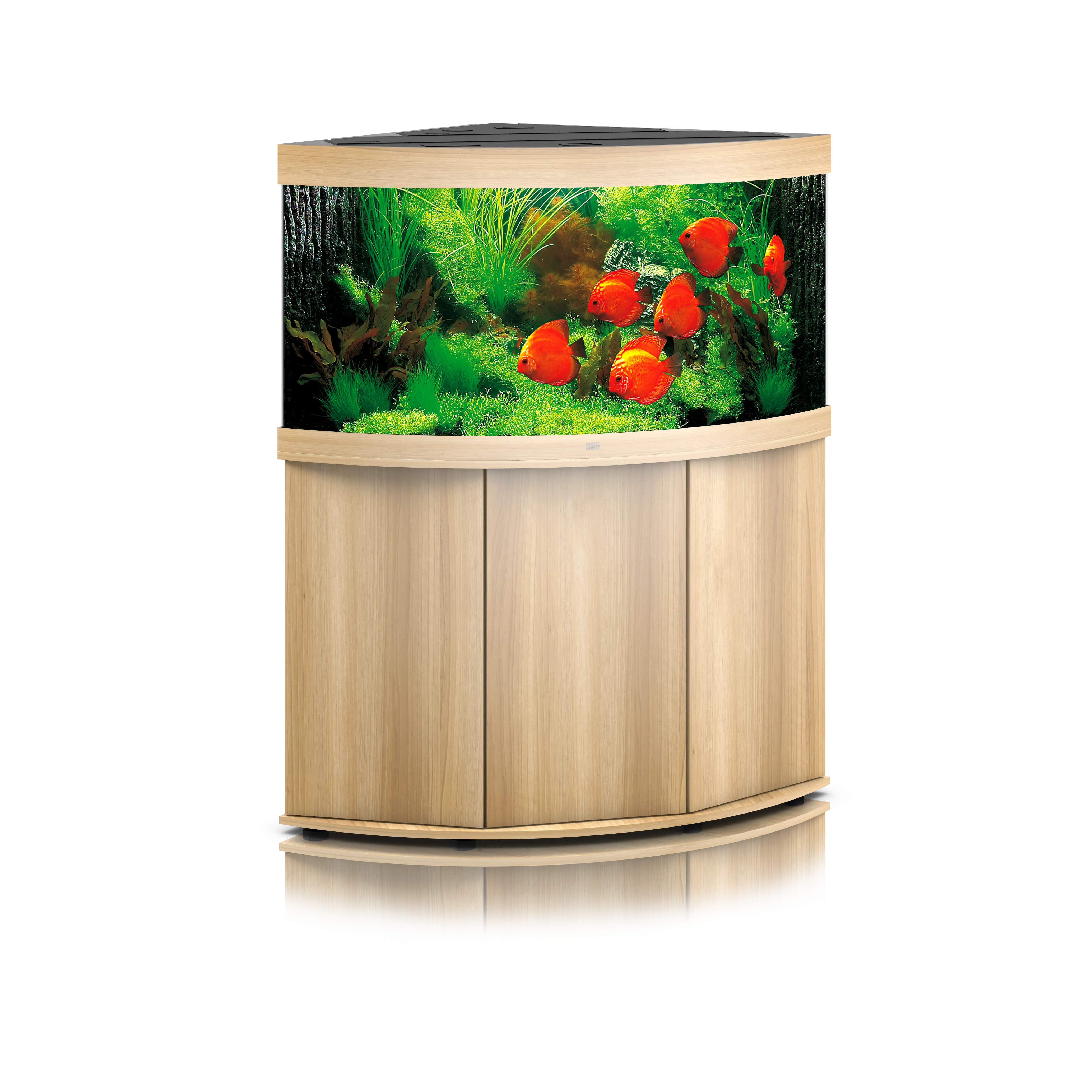 Juwel Trigon 190 LED Aquarium – Das Eckaquarium mit beeindruckender Tiefenwirkung 🤩 - AS+ AquaTimo