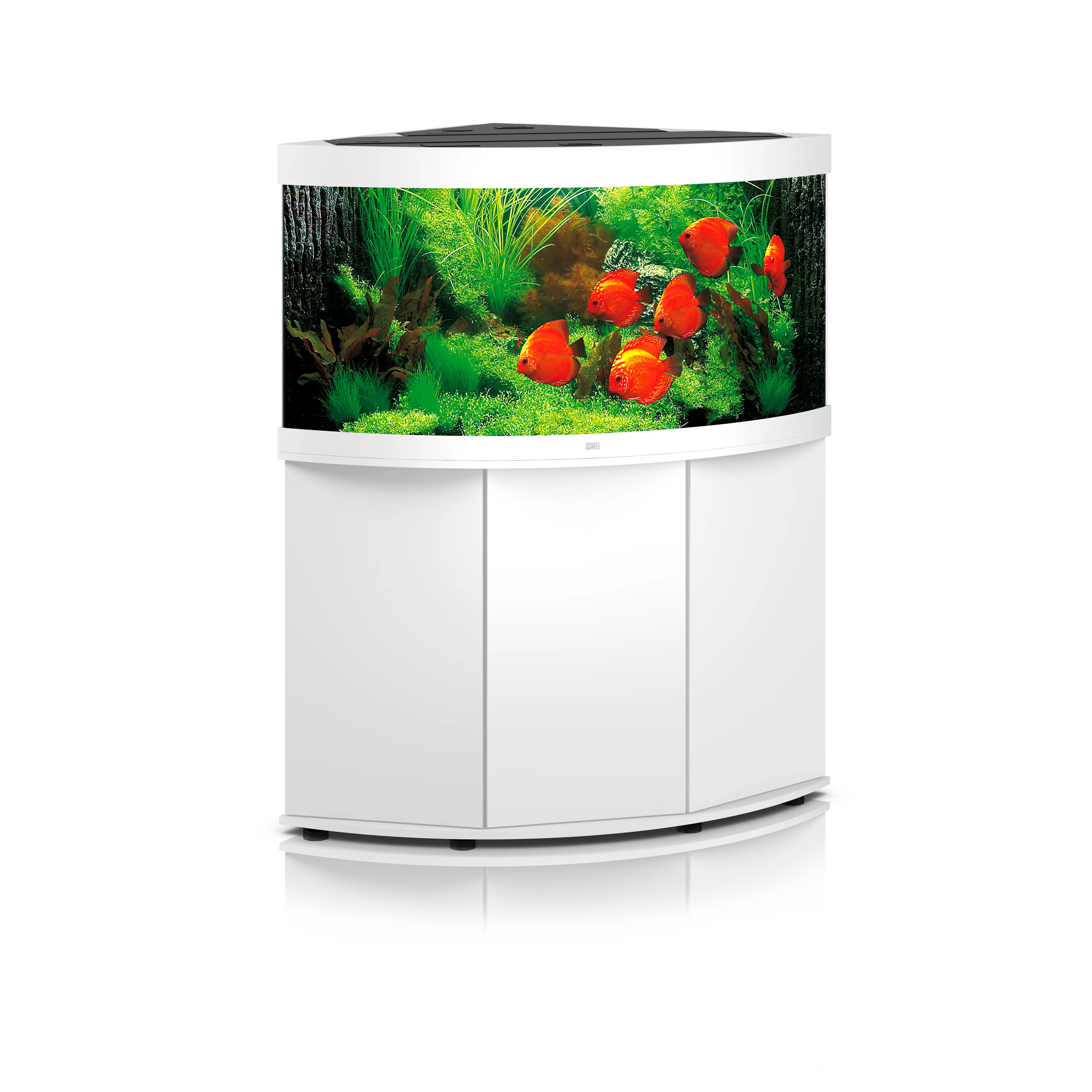 Juwel Trigon 190 LED Aquarium – Das Eckaquarium mit beeindruckender Tiefenwirkung 🤩 - AS+ AquaTimo