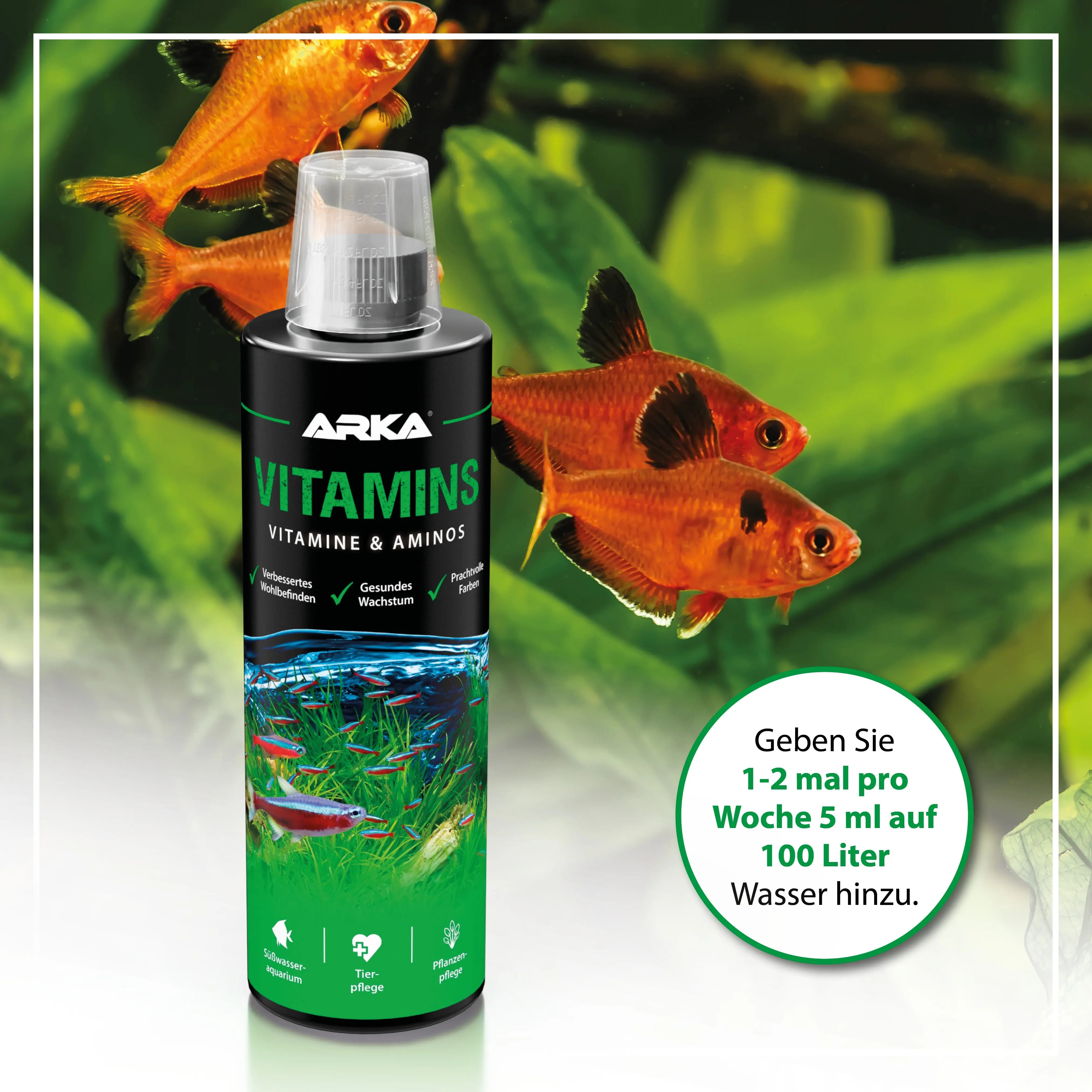 ARKA Vitamins – Maximale Vitalität und leuchtende Farbenpracht für Ihr Süßwasseraquarium 🐠✨ - AS+ AquaTimo