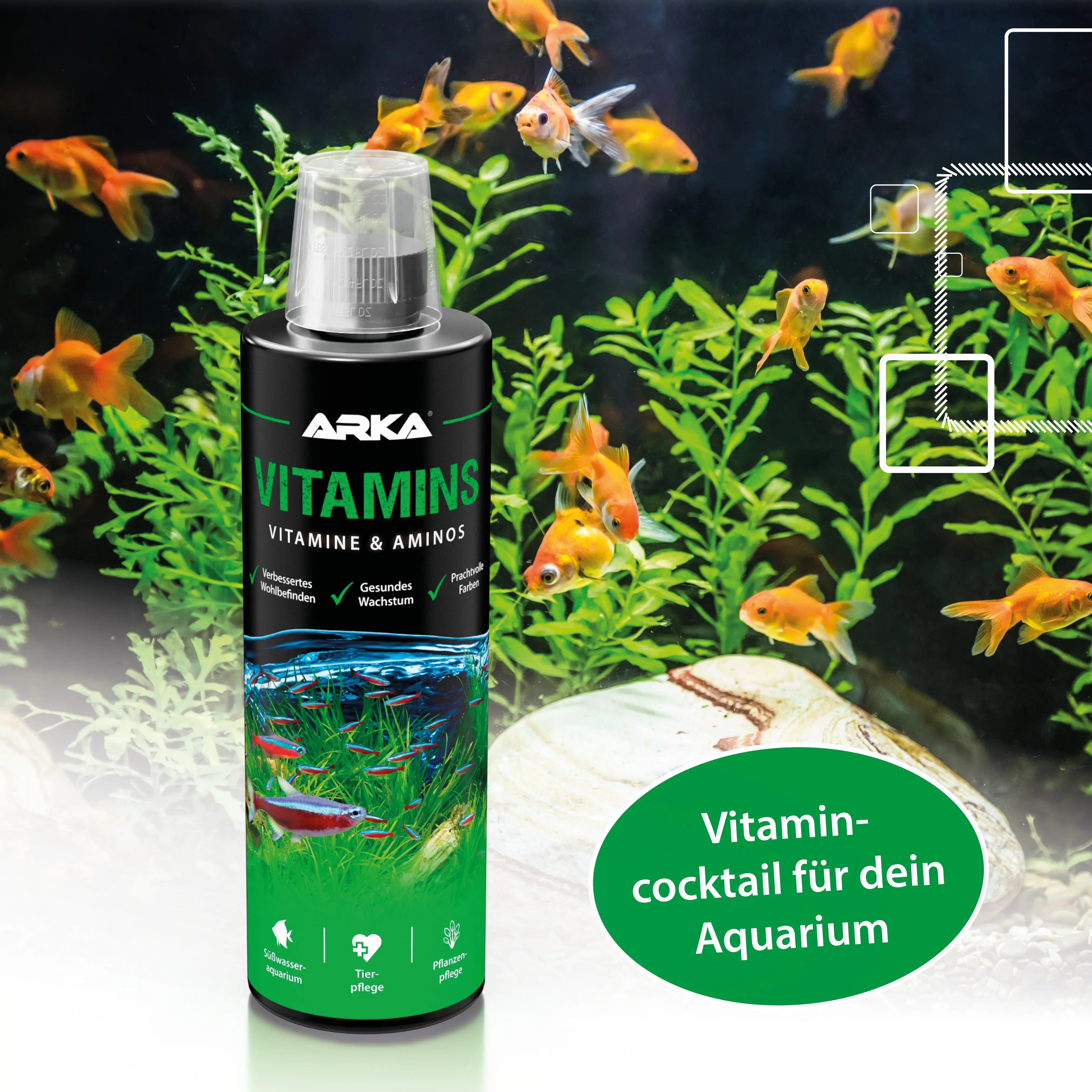 ARKA Vitamins – Maximale Vitalität und leuchtende Farbenpracht für Ihr Süßwasseraquarium 🐠✨ - AS+ AquaTimo