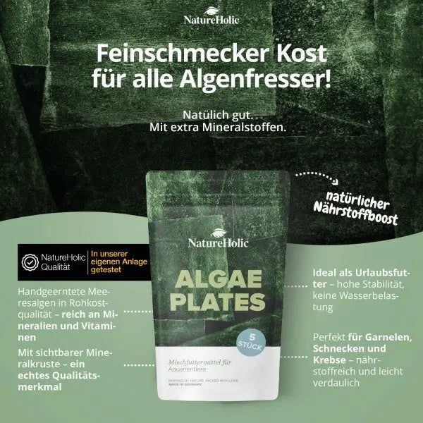 NatureHolic AlgaePlate Algentafel: Der natürliche Rohkost-Snack für deine Garnelen und Schnecken – voller Mineralstoffe und Jod! 🌿 AquaTimo