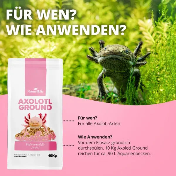 NatureHolic Axolotl Ground: Dein abgerundeter Naturkies für ein sicheres und sauberes Axolotl Aquarium! 💚 AquaTimo