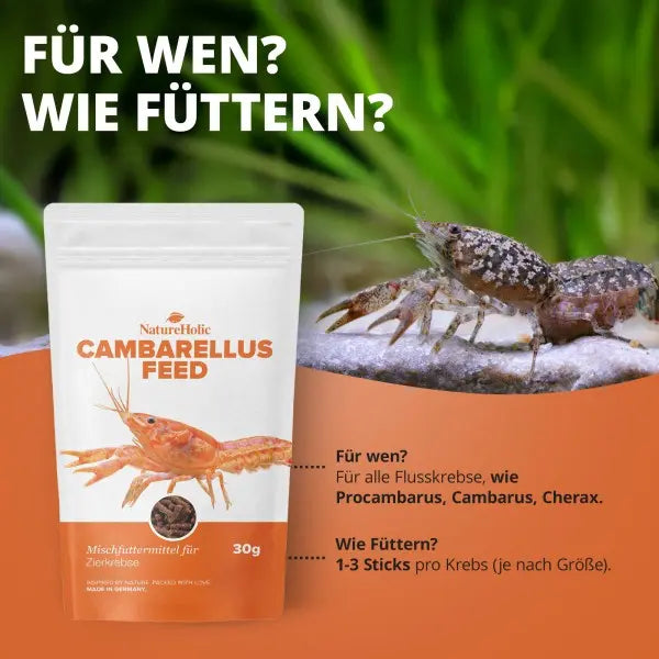 NatureHolic Cambarellusfeed: Dein Premium-Softstick Futter für vitale Zwergkrebse und leuchtende CPOs! 🦐🧡 AquaTimo