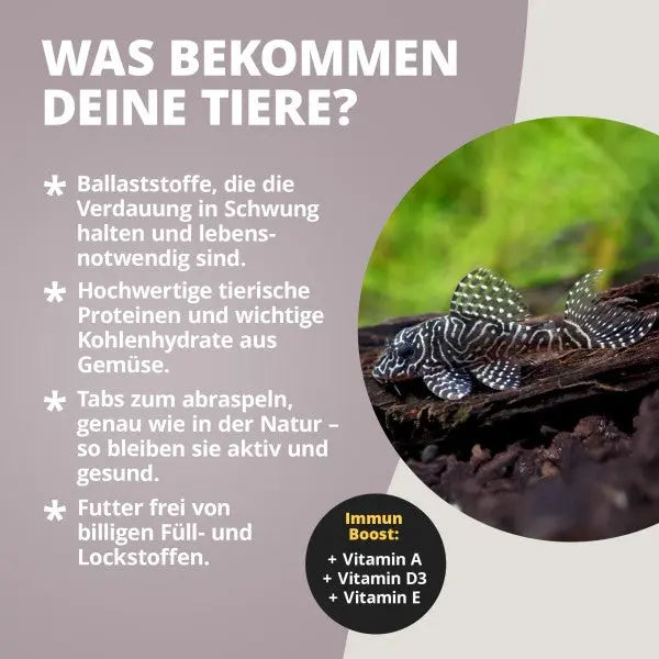 NatureHolic Plecofeed: Die professionelle Vollnahrung – Extra harte Tabs für deine Saugwelse & klares Aquarienwasser! 🛡️🌿 AquaTimo