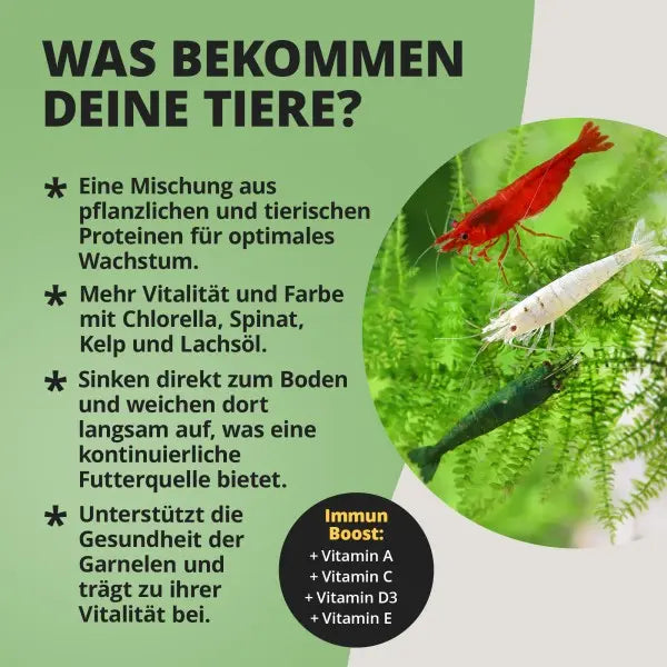 NatureHolic Nano Bites: Dein Premium-Mikrosticks-Futter für maximale Vitalität in deinem Nano-Aquarium! 🦐🚀 AquaTimo