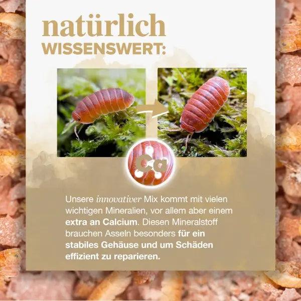 NatureHolic Assel Feed: Dein Premium-Spezialfutter für vitale Asseln, starke Panzer und Zucht-Erfolge! 🚀 AquaTimo