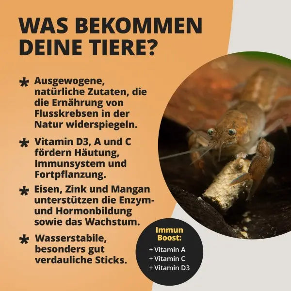 NatureHolic Krebsfeed Sticks: Premium Krebsfutter für gesunde Häutung und Wachstum AquaTimo
