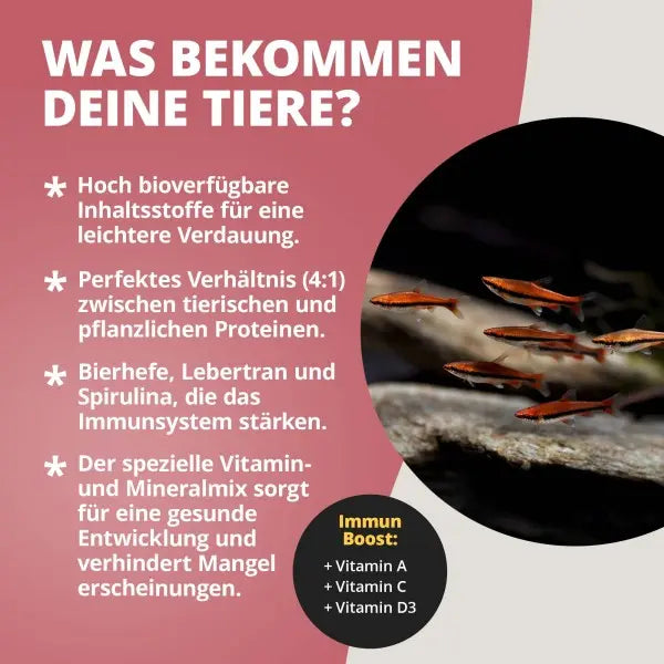 NatureHolic SalmlerFeed: Extrudiertes Hauptfutter für leuchtende Salmler und Co. 🐠✨ AquaTimo