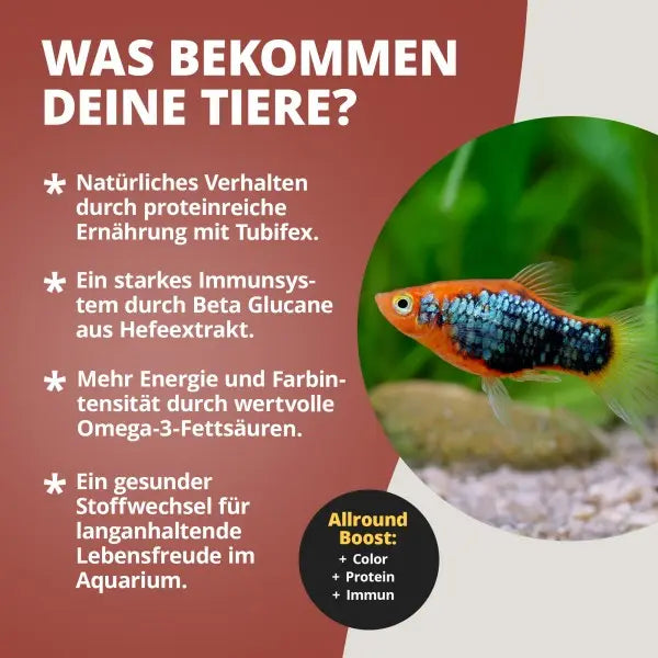 NatureHolic Pure Flakes Tubifex: Der Premium-Snack für carnivore und omnivore Aquarienbewohner 🐛🐟 AquaTimo