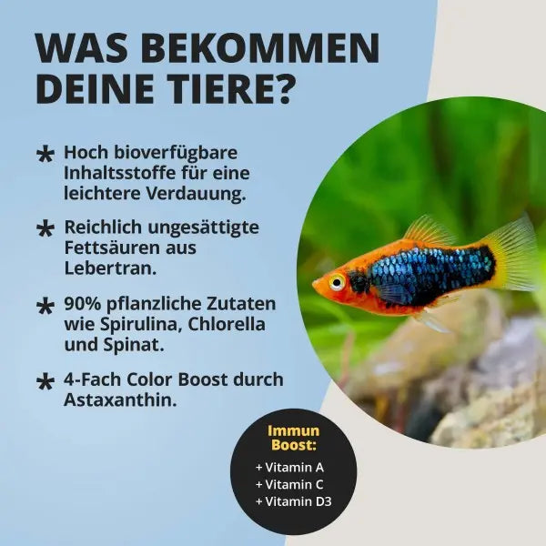 NatureHolic PlatyFeed: Der Farb-Booster für deine Lebendgebärenden! 🌈🐟 AquaTimo