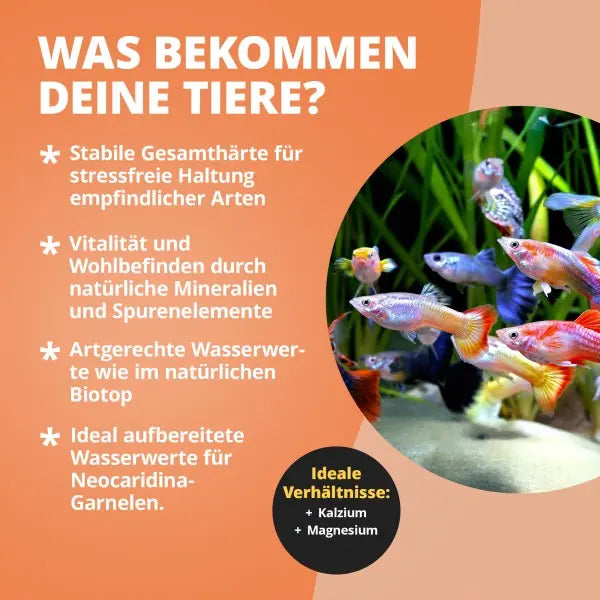 NatureHolic GH+ Salt: Dein chloridreduziertes Aufhärtesalz für die perfekte Gesamthärte im Süßwasseraquarium! 💧🌿 AquaTimo